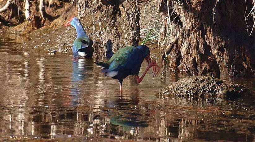 Aswan Egypt